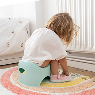 How to Potty Train Your Toddler in Three Days