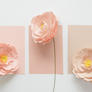 What is Implantation Bleeding and When Does It Occur?