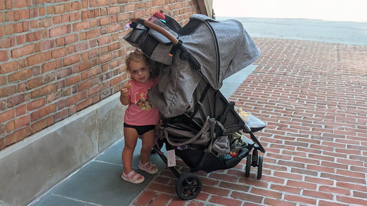 The Zoe V2 Double Stroller